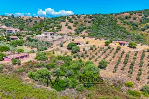 Villa i Siniscola, Nuoro, Siniscola - € 630 000 | Ref: SNV-09-25 - foto 49