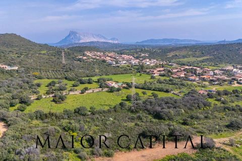Villa i San Teodoro, Sassari, San Teodoro - € 595.000 | Ref: STV-04-26 - foto 47
