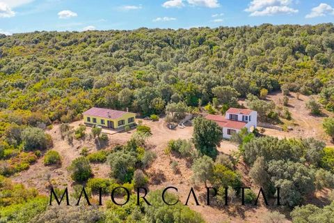 Villa i Aglientu, Sassari, Aglientu - € 675.000 | Ref: TGV-06-25 - foto 2