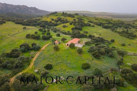 Helårsgrund i Berchidda, Sassari, Berchidda - € 720.000 | Ref: BEV-05-24 - foto 2