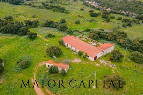 Helårsgrund i Berchidda, Sassari, Berchidda - € 720.000 | Ref: BEV-05-24 - foto 3
