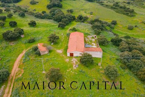 Helårsgrund i Berchidda, Sassari, Berchidda - € 720.000 | Ref: BEV-05-24 - foto 4
