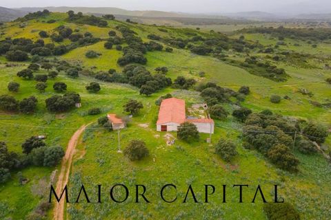 Helårsgrund i Berchidda, Sassari, Berchidda - € 720.000 | Ref: BEV-05-24 - foto 5