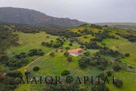 Helårsgrund i Berchidda, Sassari, Berchidda - € 720.000 | Ref: BEV-05-24 - foto 6