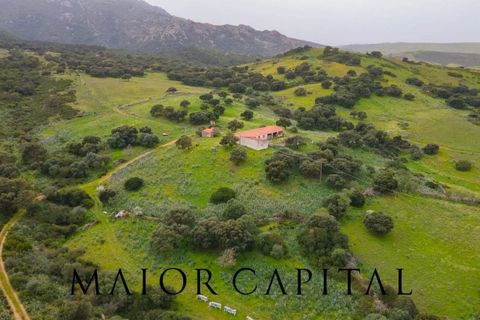 Helårsgrund i Berchidda, Sassari, Berchidda - € 720.000 | Ref: BEV-05-24 - foto 7