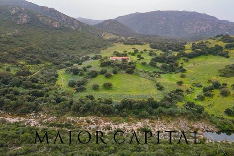 Helårsgrund i Berchidda, Sassari, Berchidda - € 720.000 | Ref: BEV-05-24 - foto 8