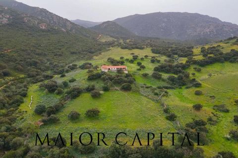 Helårsgrund i Berchidda, Sassari, Berchidda - € 720.000 | Ref: BEV-05-24 - foto 9