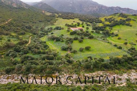 Helårsgrund i Berchidda, Sassari, Berchidda - € 720.000 | Ref: BEV-05-24 - foto 10
