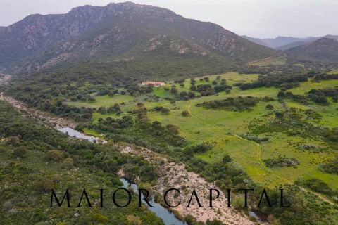 Helårsgrund i Berchidda, Sassari, Berchidda - € 720.000 | Ref: BEV-05-24 - foto 11