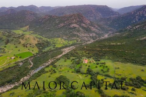 Helårsgrund i Berchidda, Sassari, Berchidda - € 720.000 | Ref: BEV-05-24 - foto 14