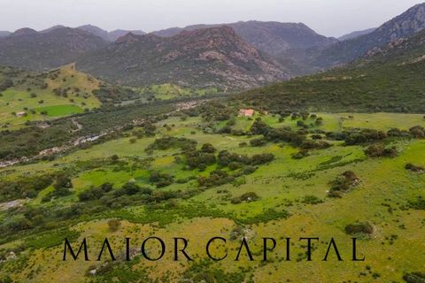 Helårsgrund i Berchidda, Sassari, Berchidda - € 720.000 | Ref: BEV-05-24 - foto 15