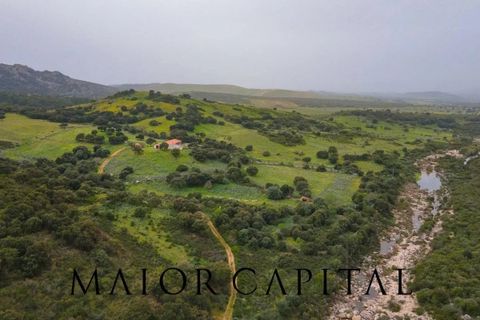 Helårsgrund i Berchidda, Sassari, Berchidda - € 720.000 | Ref: BEV-05-24 - foto 16