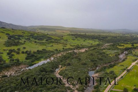 Helårsgrund i Berchidda, Sassari, Berchidda - € 720.000 | Ref: BEV-05-24 - foto 17