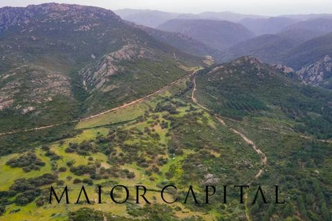 Helårsgrund i Berchidda, Sassari, Berchidda - € 720.000 | Ref: BEV-05-24 - foto 19