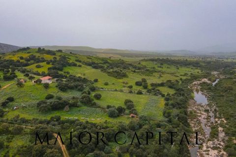 Helårsgrund i Berchidda, Sassari, Berchidda - € 720.000 | Ref: BEV-05-24 - foto 21