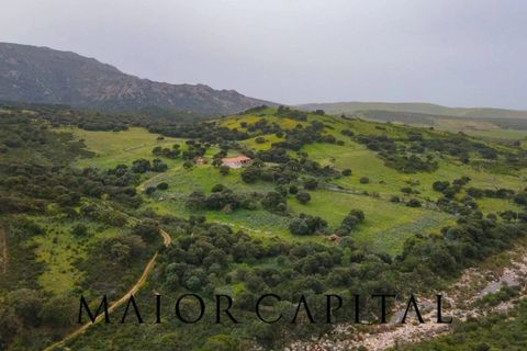 Helårsgrund i Berchidda, Sassari, Berchidda - € 720.000 | Ref: BEV-05-24 - foto 22
