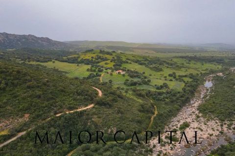 Helårsgrund i Berchidda, Sassari, Berchidda - € 720.000 | Ref: BEV-05-24 - foto 23