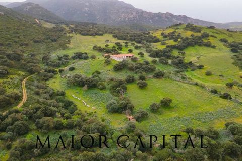Helårsgrund i Berchidda, Sassari, Berchidda - € 720.000 | Ref: BEV-05-24 - foto 27