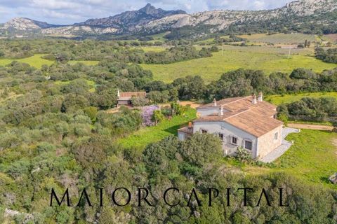 Villa a Arzachena, Sassari, Arzachena - € 790.000 | Ref: ARV-07-25 - foto 2
