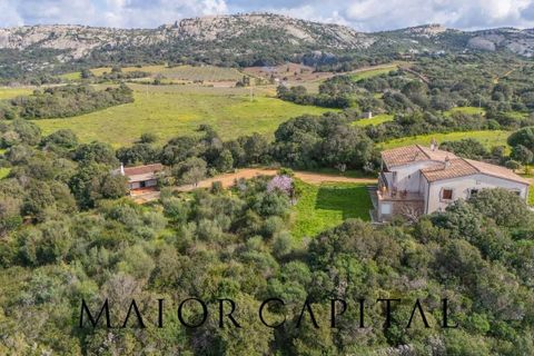 Villa a Arzachena, Sassari, Arzachena - € 790.000 | Ref: ARV-07-25 - foto 7