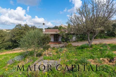 Villa a Arzachena, Sassari, Arzachena - € 790.000 | Ref: ARV-07-25 - foto 33