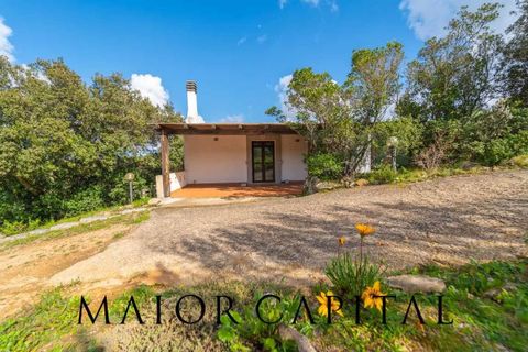 Villa a Arzachena, Sassari, Arzachena - € 790.000 | Ref: ARV-07-25 - foto 34