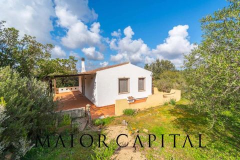 Villa a Arzachena, Sassari, Arzachena - € 790.000 | Ref: ARV-07-25 - foto 35