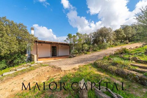 Villa a Arzachena, Sassari, Arzachena - € 790.000 | Ref: ARV-07-25 - foto 46