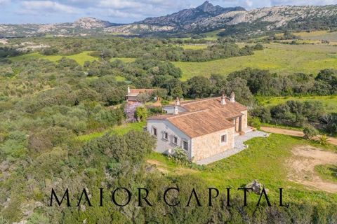Villa a Arzachena, Sassari, Arzachena - € 790.000 | Ref: ARV-07-25 - foto 49