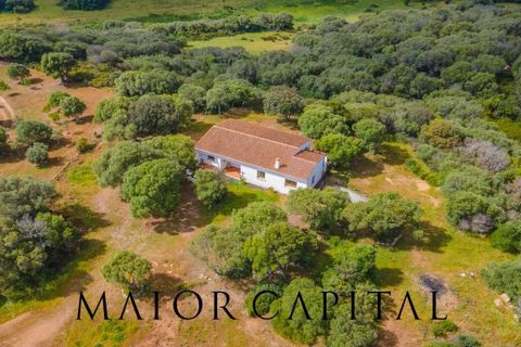 Villa a Palau, Sassari, Palau - € 798.000 | Ref: PLV-01-24 - foto 3