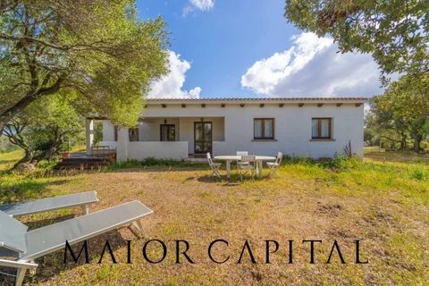 Villa a Palau, Sassari, Palau - € 798.000 | Ref: PLV-01-24 - foto 8