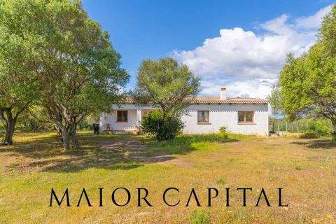 Villa a Palau, Sassari, Palau - € 798.000 | Ref: PLV-01-24 - foto 35