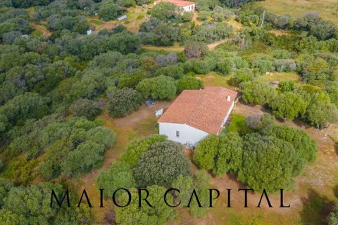 Villa a Palau, Sassari, Palau - € 798.000 | Ref: PLV-01-24 - foto 36