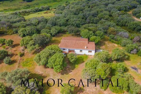 Villa a Palau, Sassari, Palau - € 798.000 | Ref: PLV-01-24 - foto 37