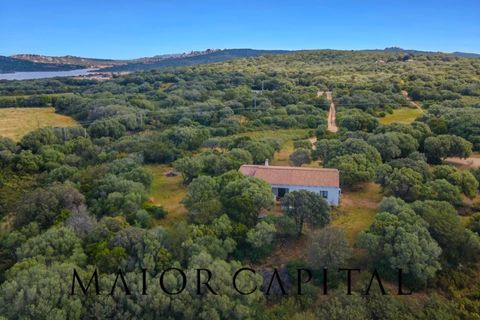 Villa a Palau, Sassari, Palau - € 798.000 | Ref: PLV-01-24 - foto 39