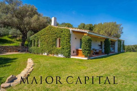 Villa i Arzachena, Sassari, Arzachena - € 880.000 | Ref: ARV-08-24 - foto 3