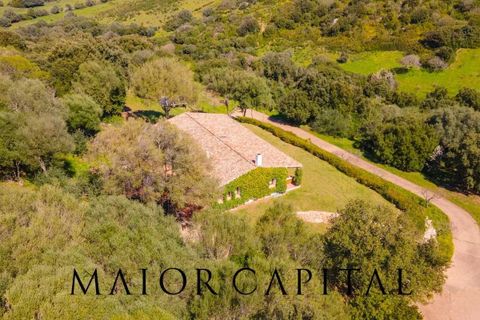 Villa i Arzachena, Sassari, Arzachena - € 880.000 | Ref: ARV-08-24 - foto 38