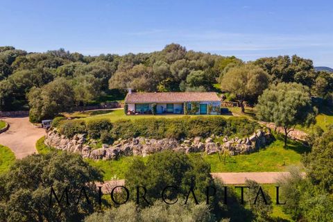 Villa i Arzachena, Sassari, Arzachena - € 880.000 | Ref: ARV-08-24 - foto 41