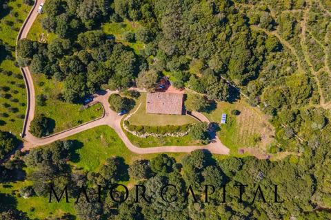 Villa i Arzachena, Sassari, Arzachena - € 880.000 | Ref: ARV-08-24 - foto 45