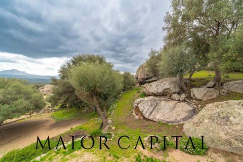 Villa i Arzachena, Sassari, Arzachena - € 970.000 | Ref: ARV-25-24 - foto 39
