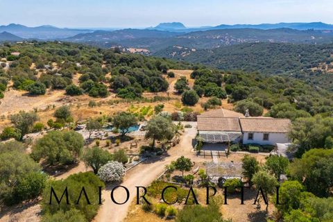 Villa a Telti, Olbia Tempio, Telti - € 980.000 | Ref: OLV-23-25 - foto 4