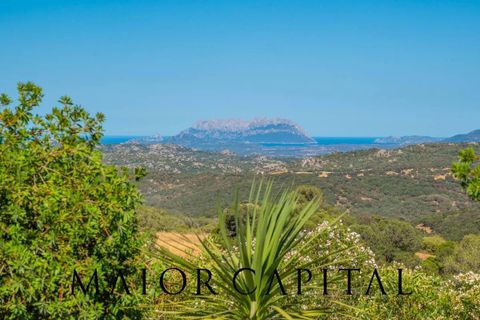Villa a Telti, Olbia Tempio, Telti - € 980.000 | Ref: OLV-23-25 - foto 11