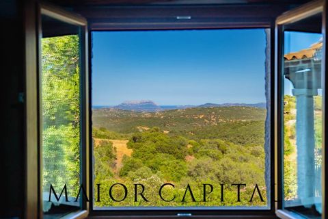 Villa a Telti, Olbia Tempio, Telti - € 980.000 | Ref: OLV-23-25 - foto 30