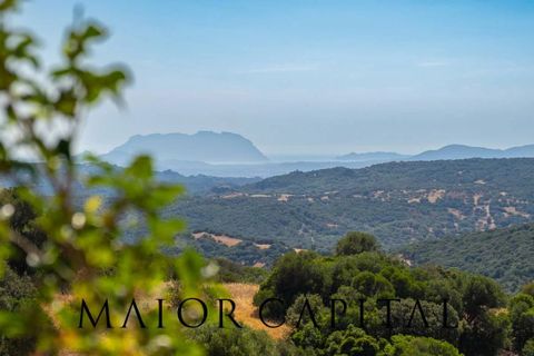 Villa a Telti, Olbia Tempio, Telti - € 980.000 | Ref: OLV-23-25 - foto 31