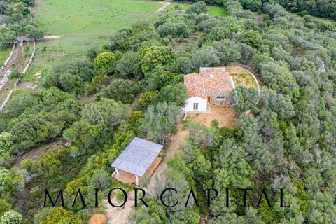 Villa a Palau, Sassari, Palau - € 1.200.000 | Ref: COS-04-24 - foto 5