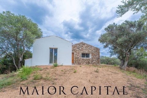 Villa a Palau, Sassari, Palau - € 1.200.000 | Ref: COS-04-24 - foto 33
