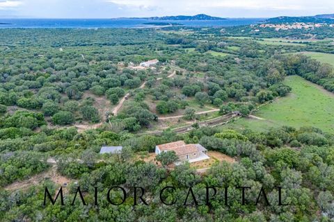 Villa a Palau, Sassari, Palau - € 1.200.000 | Ref: COS-04-24 - foto 43
