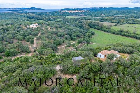 Villa a Palau, Sassari, Palau - € 1.200.000 | Ref: COS-04-24 - foto 45