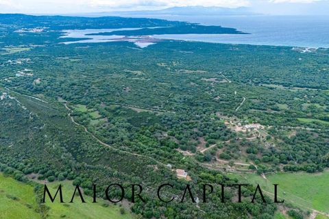 Villa a Palau, Sassari, Palau - € 1.200.000 | Ref: COS-04-24 - foto 46