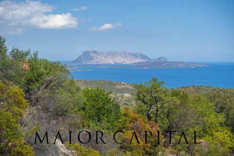 Villa i Budoni, Sassari, Budoni - € 1.490.000 | Ref: BUV-19-24 - foto 7